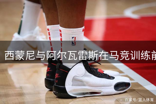 西蒙尼与阿尔瓦雷斯在马竞训练前进行未来规划谈话